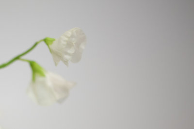 Roots of Life Photography Events-57