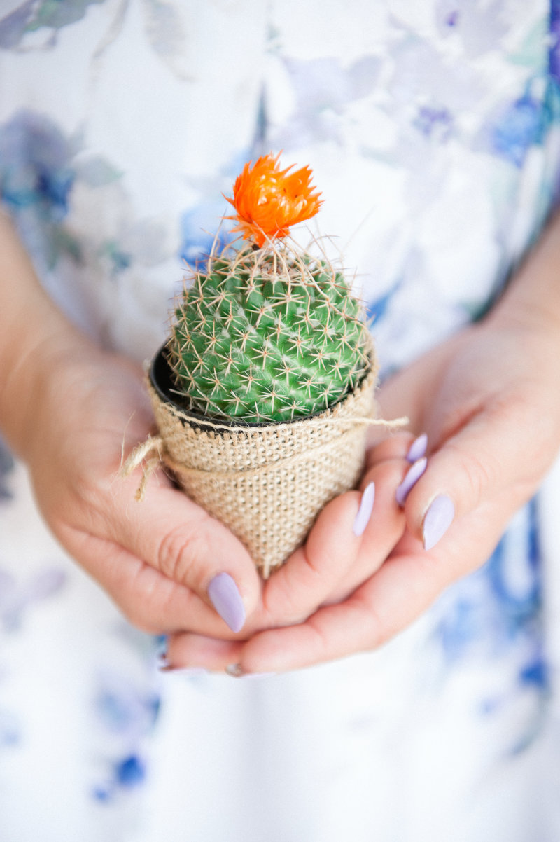 IoanaBridalShower248