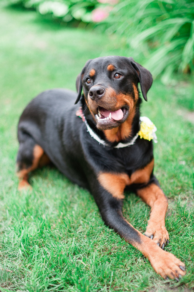 IoanaBridalShower105