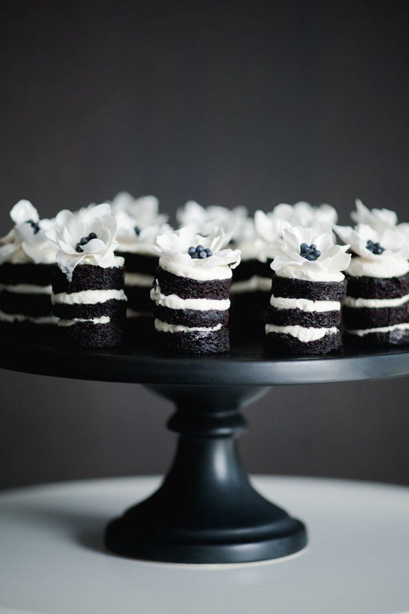 Roots of Life Photography Events-60