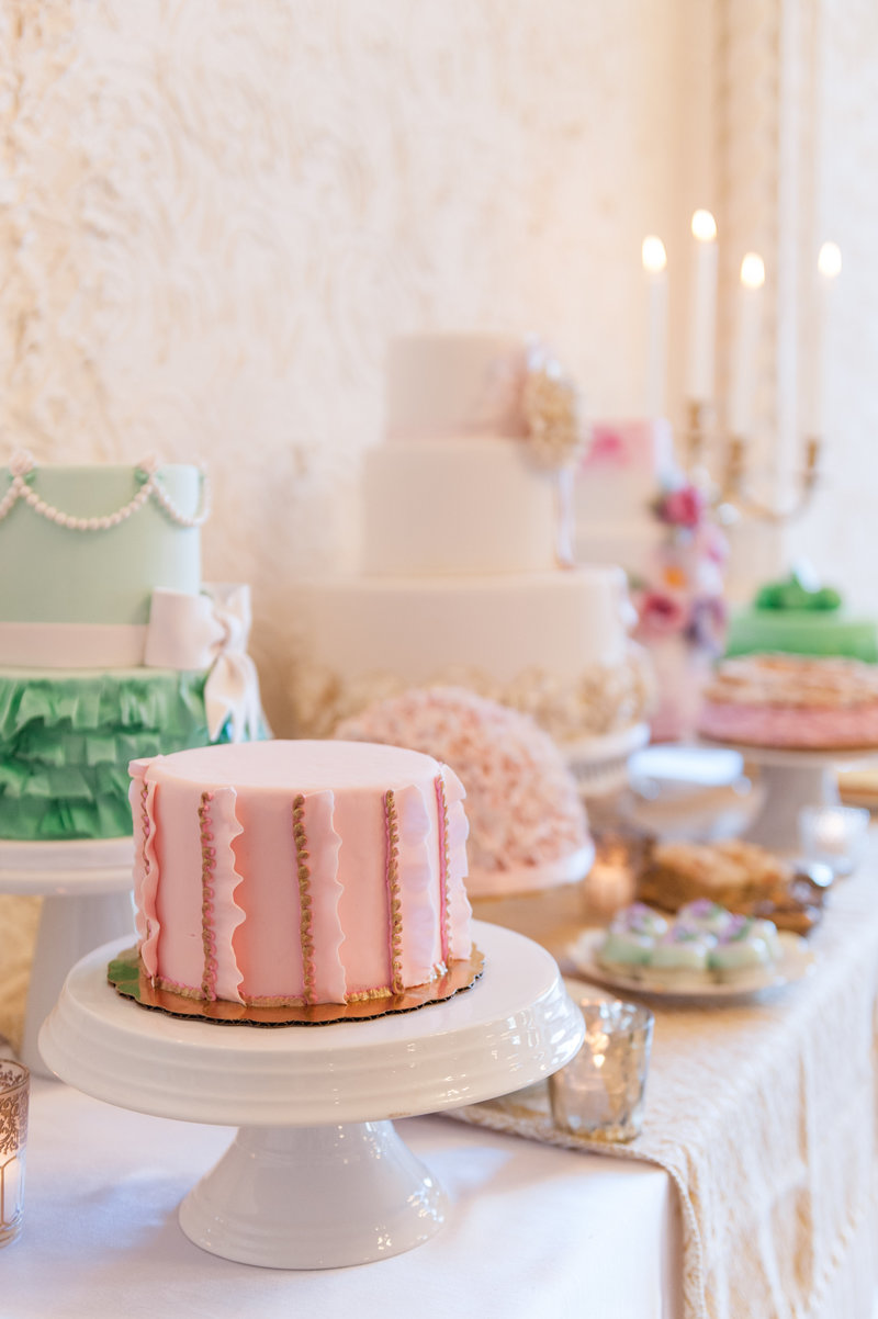 Roots of Life Photography Editorial-13