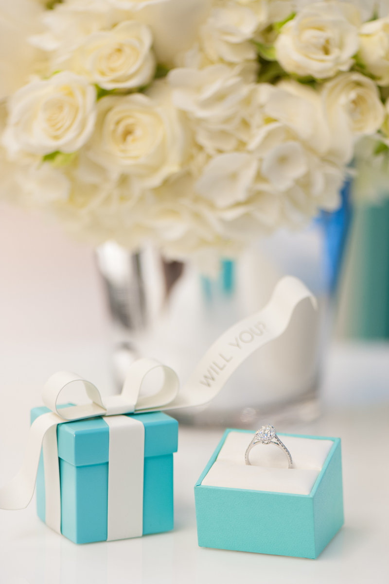 Roots of Life Photography Engagements-41