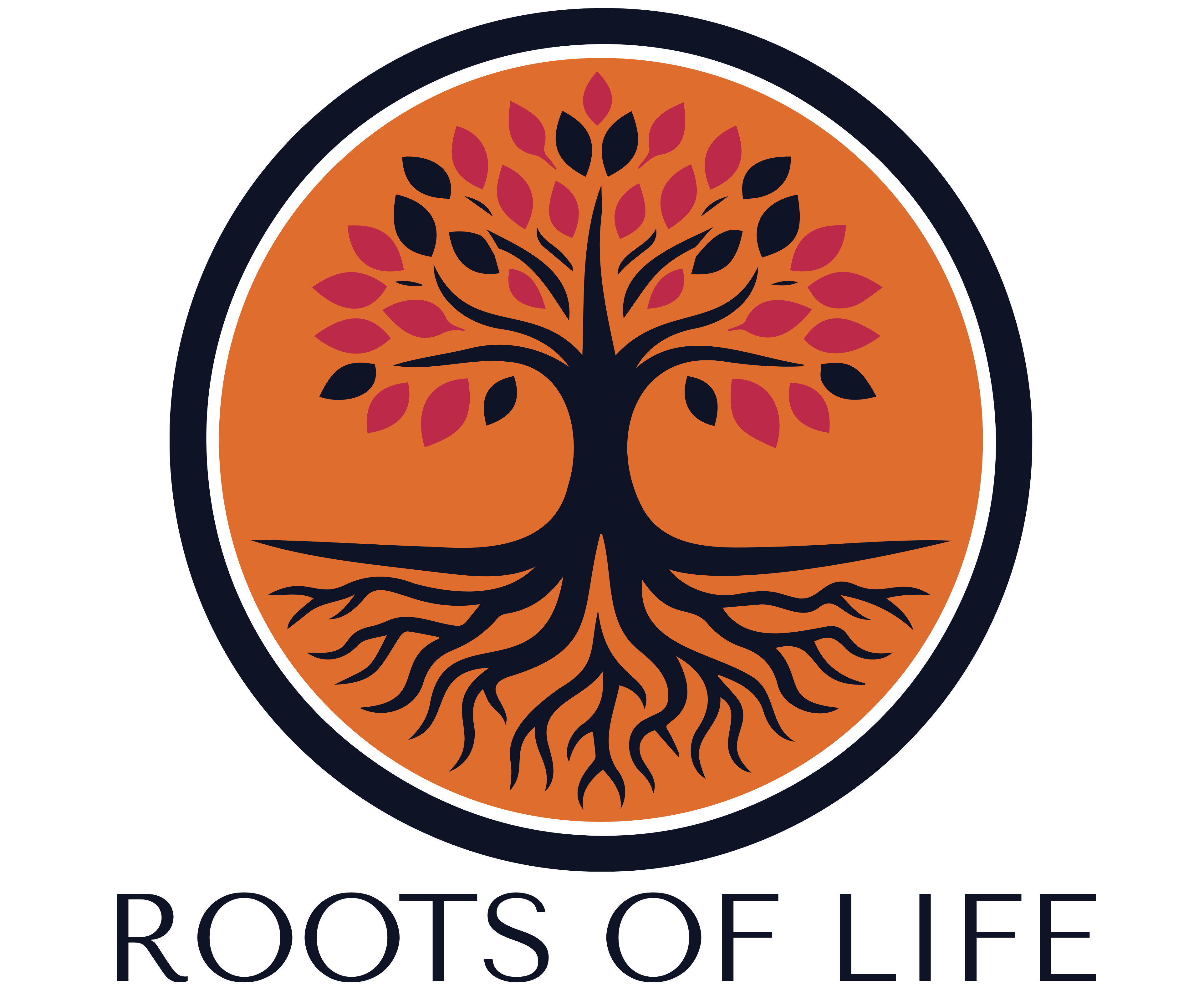 Roots Of Life Photography